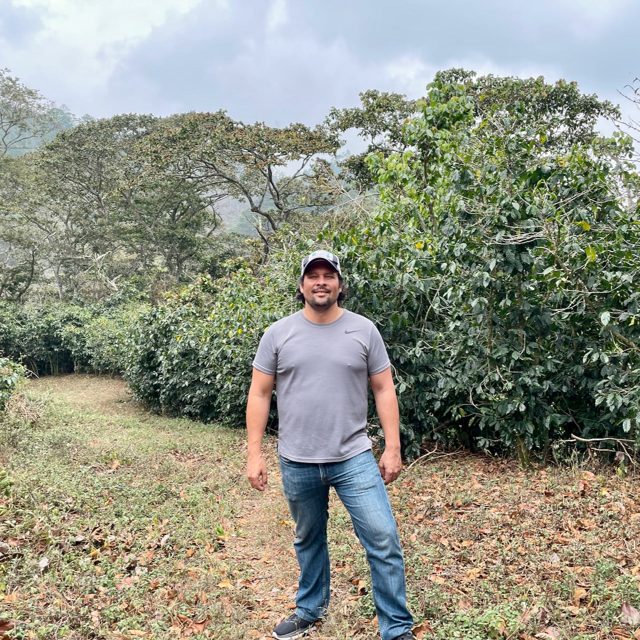 903 - Honduras: La Alondra - March Pickings