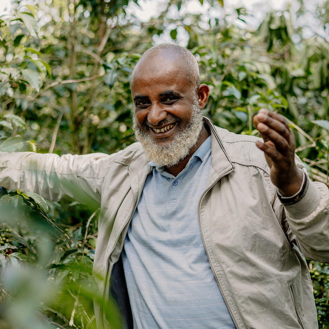 889 Ethiopia: Mensur Abahika, Washed