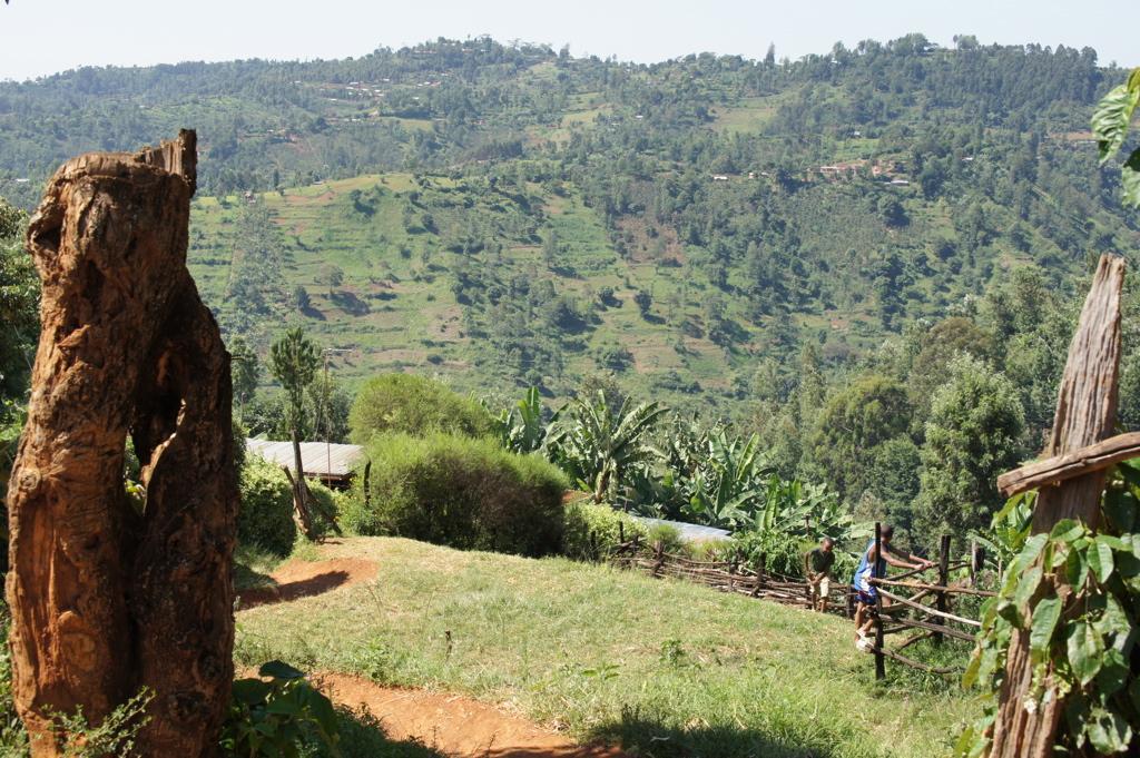 A view from Karogoto of the surrounding hills of Nyeri