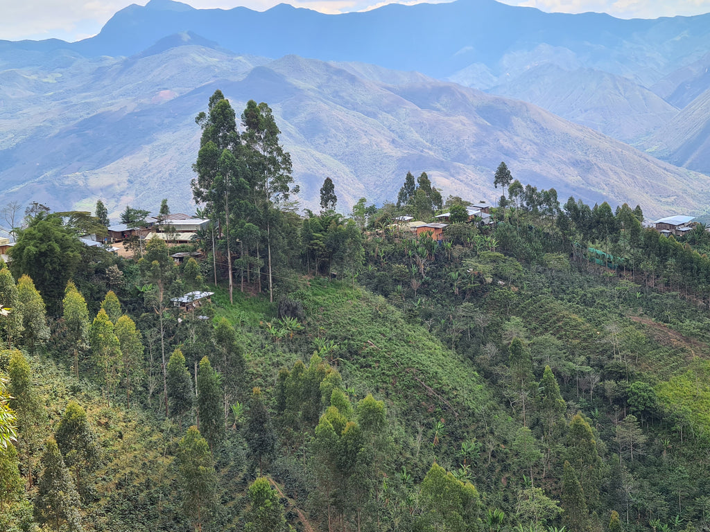 The view from El Cedro, Colasay, Jaen, Peru
