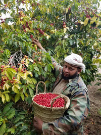 Yemen: Ali Kabeer 125g