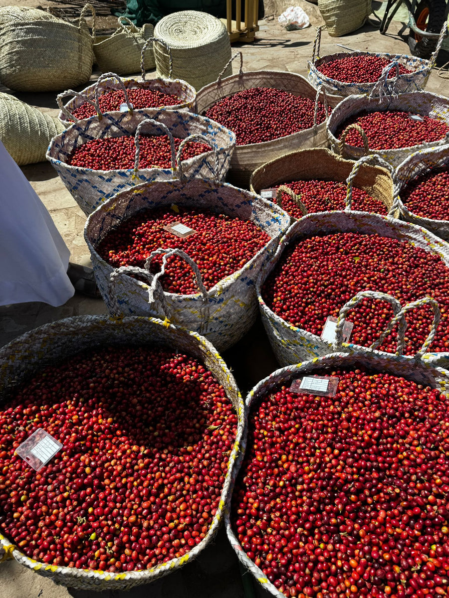 Yemen: Ali Kabeer 125g