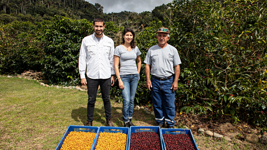 Pedro Pablo Rodriguez and Daniela Rodriguez of Fincas Los Rodriguez, and Don Carlos Mariaca with freshly harvested coffee