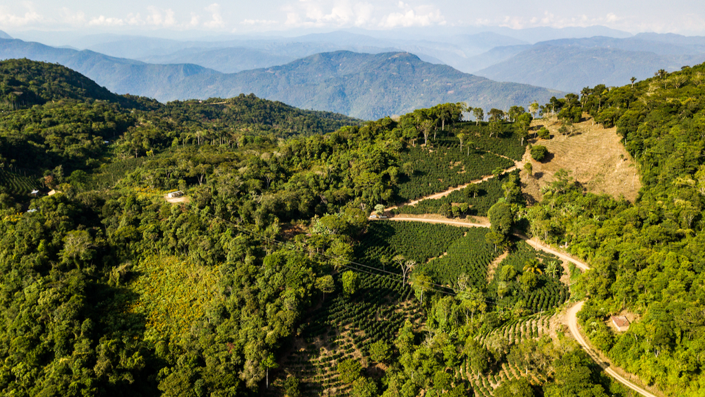 A view over Finca Don Carlos in Caranavi, Bolivia