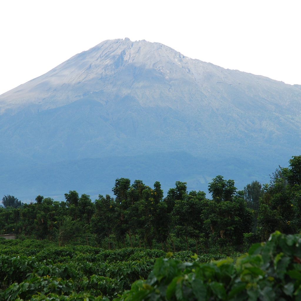 Views of the Burka Estate in Arusha, Tanzania | Hasbean.co.uk