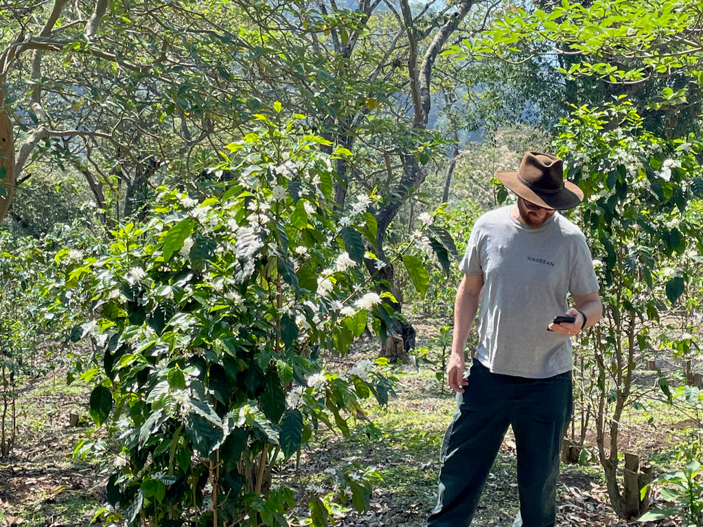 Hasbean Green Buyer Roland Glew at El Bosque in Amatitlán, Guatemala