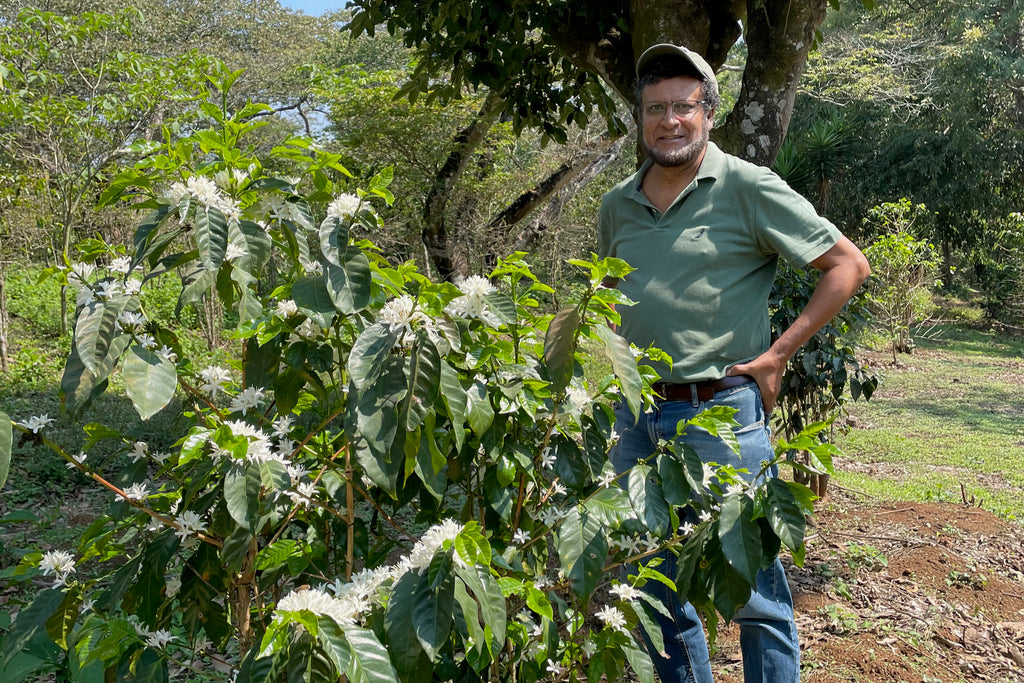 Francisco Flores with his coffee at El Bosque in Amatitlán, Guatemala