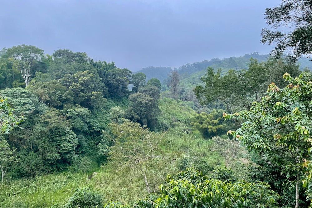 A view across El Equimite in Veracruz, Mexico