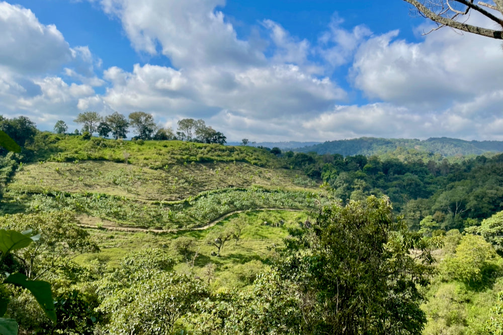 A view of El Equimite in Veracruz, Mexico
