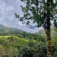 The view from El Cedro, Colasay, Jaen, Peru