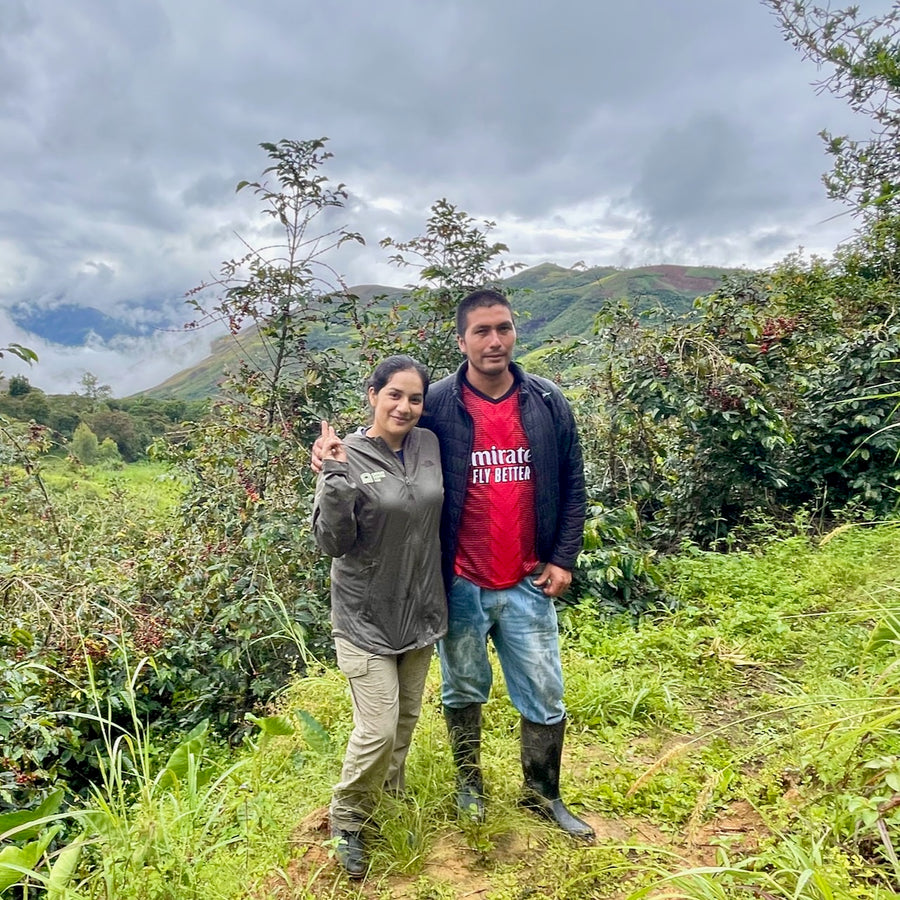 Peru: Einer Saldivar, El Cedro #3 (Organic)
