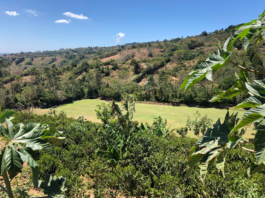 The famous Aguilera football pitch at the Aguilera Bros micromill in Naranjo, Costa Rica