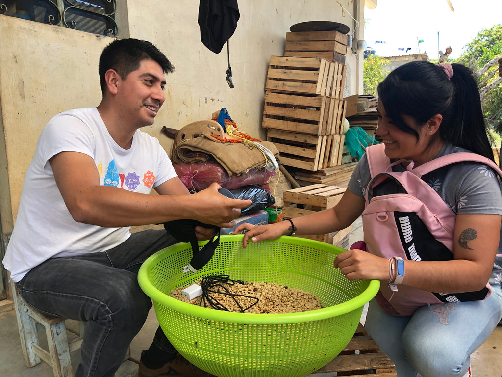 Miguel from Ensambles measures the moisture level of the green beans | Hasbean.co.uk