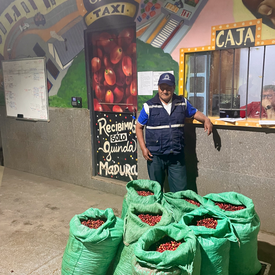 Gregorio Paye of Volcan del Tigre in Bolivia with seven sacks of his freshly harvested coffee cherries.