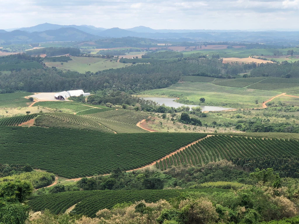 View over Fazenda Rio Verde in Alfenas, Minas Gerais, Brazil