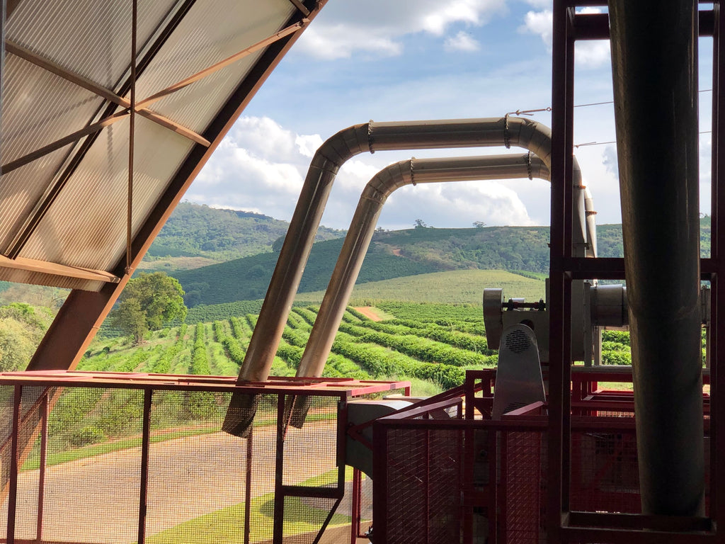 View from Fazenda Rio Verde in Alfenas, Minas Gerais, Brazil