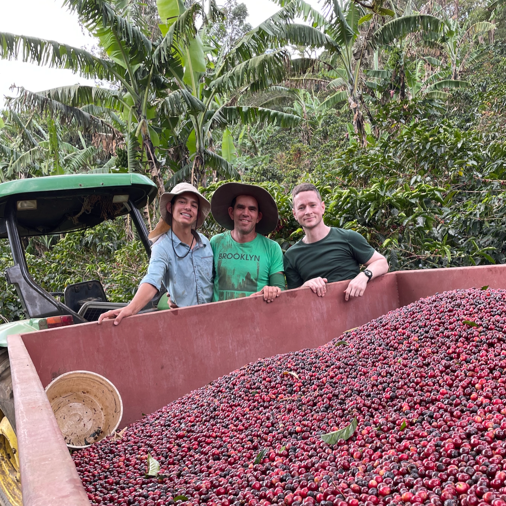 Allan's son Nacho, Allan Oviedo, and Ozone Head of eCommerce Chris Price with some of Allan's freshly harvested coffee cherries