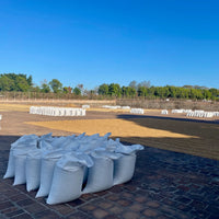 Coffee drying on patios at the Los Ausoles dry mill in El Salvador