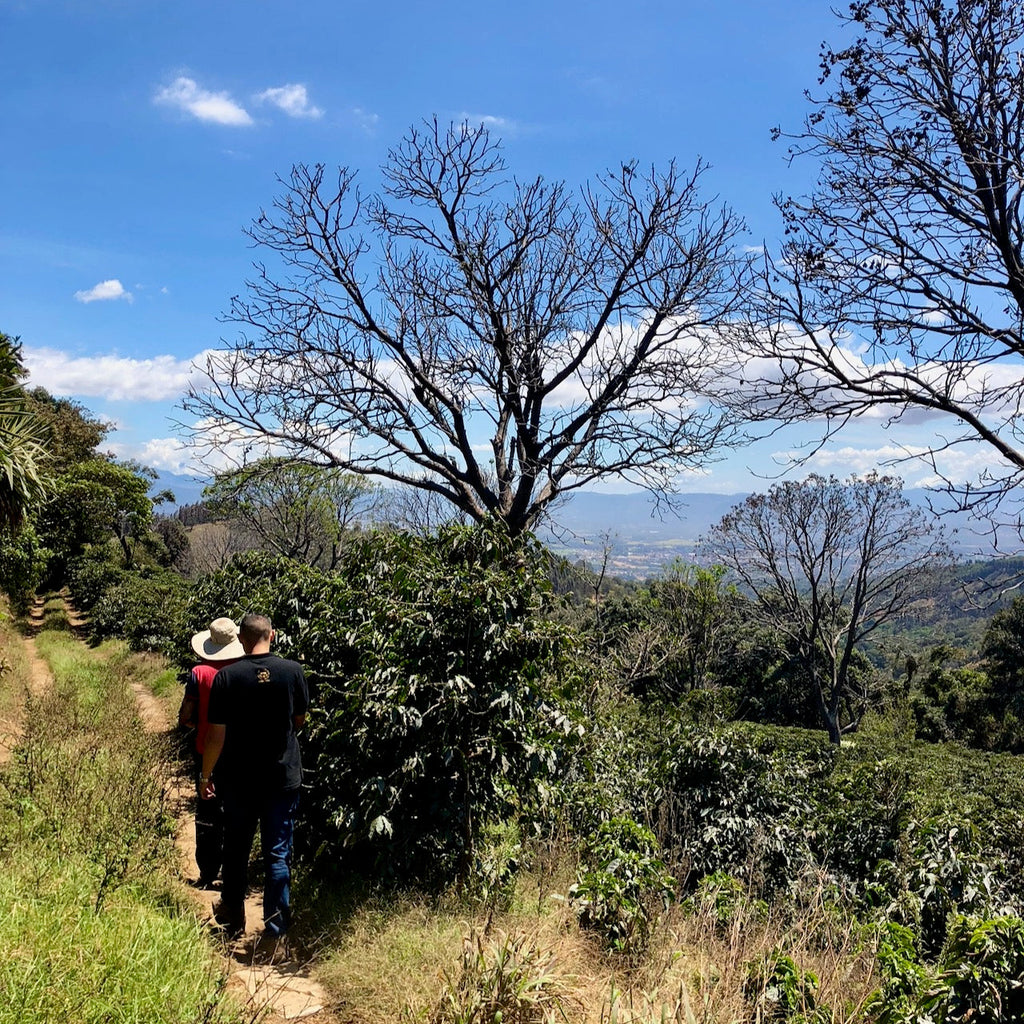 Walking around Finca La Cumbre with Allan