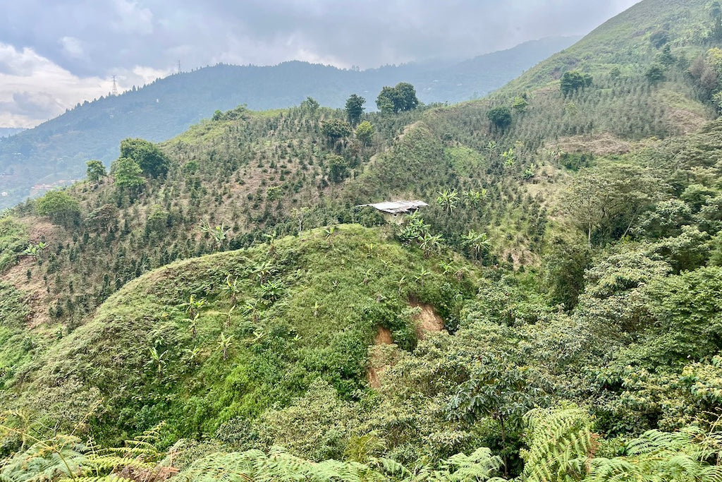 A view over El Tractor in Antioquia, Colombia