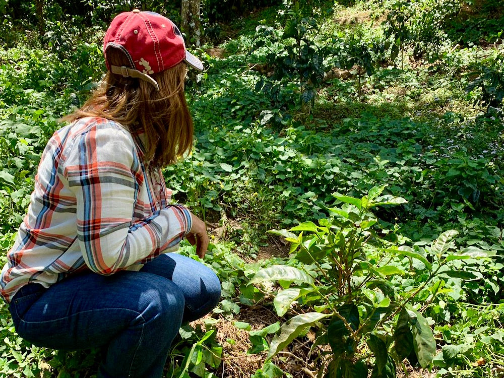 Gloria  Rodriguez on her farm Finca San José in Ahuachapán, El Salvador