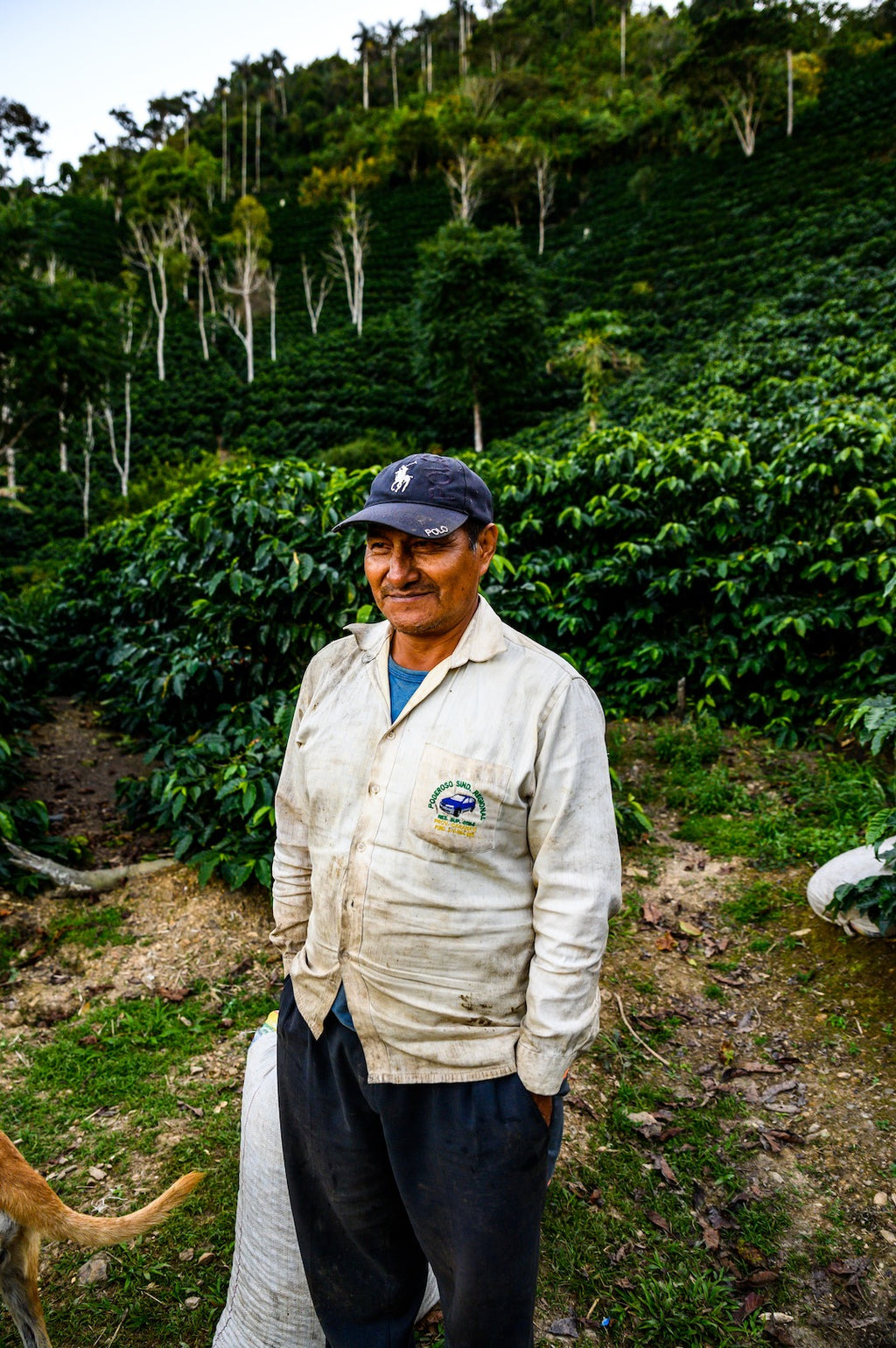 Gregorio Palli Mamani at Volcán del Tigre