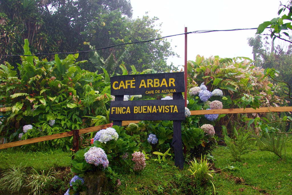 ARBAR, Lourdes de Naranjo, Western Valley, Costa Rica