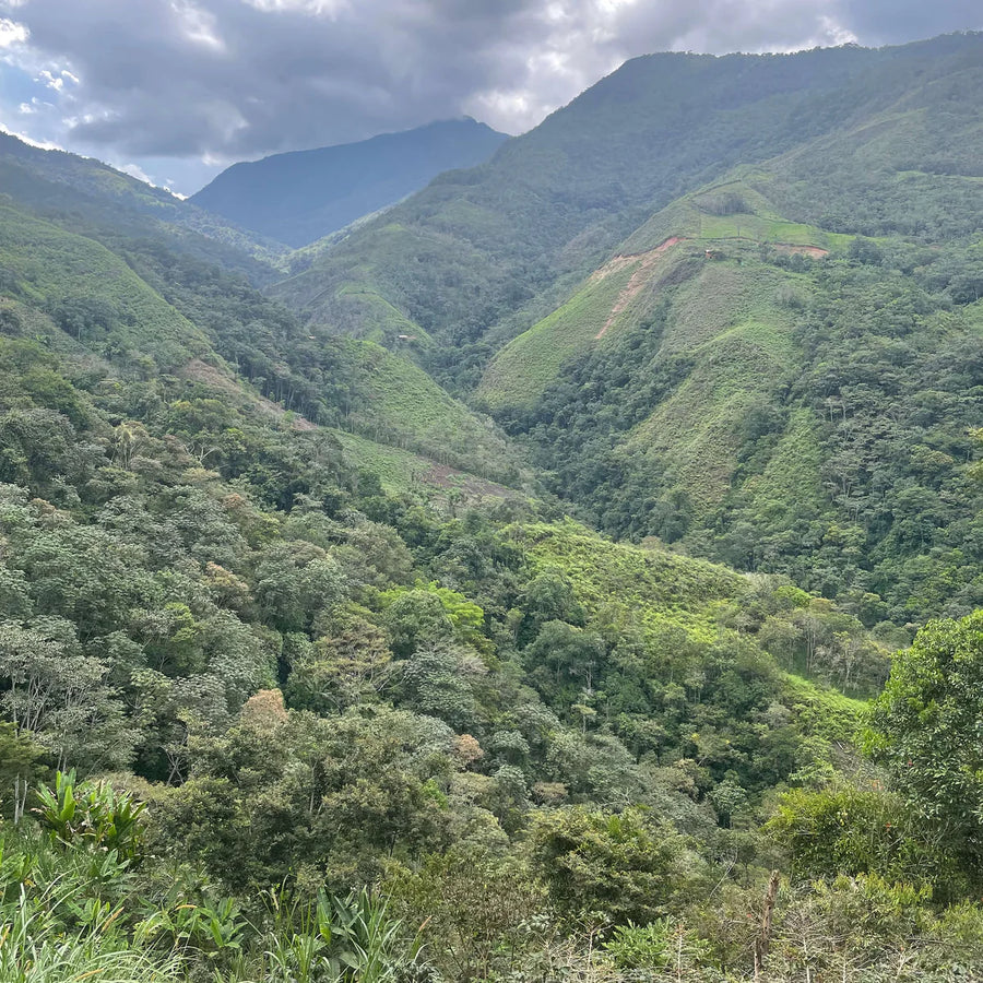 The Mountains of Lonya Grande, Peru