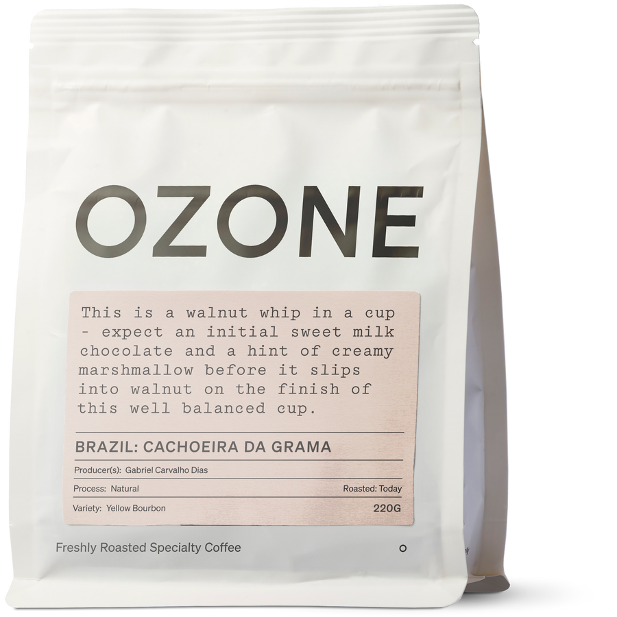 Brazil: Fazenda Cachoeira da Grama, Yellow Bourbon, Natural