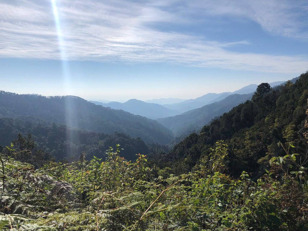 A view of the mountainous region of Montaña Alta, Mexico | Hasbean.co.uk