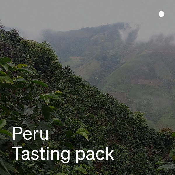 Peru Tasting Pack (Organic)