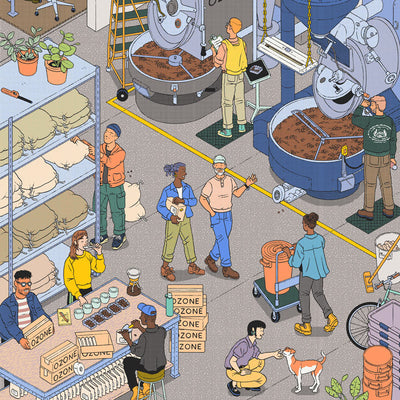 Ozone Coffee Roasters Roasting Scene - Square Crop