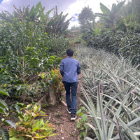 Peru: Roiber Becerra, Anaerobic Washed