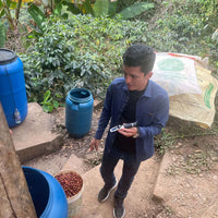 Roiber Becerra checking the specific gravity of the coffee cherries using a refractometer 