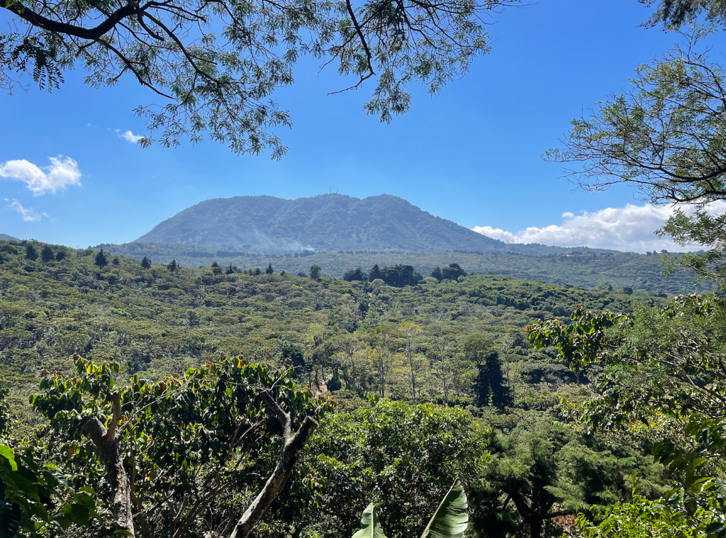 The view across Finca La Fany