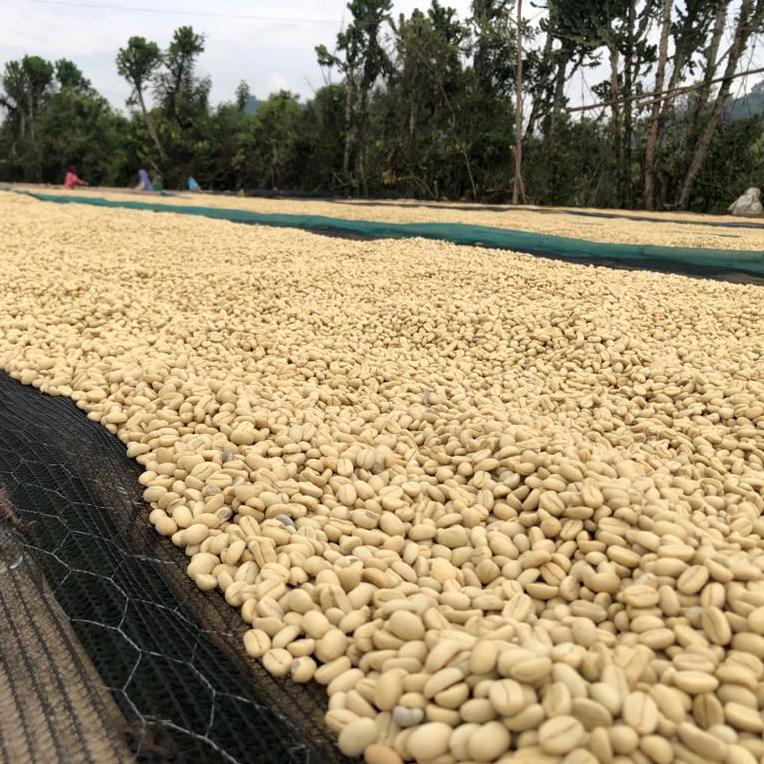 Drying beds with forest in the distant background at Telila Yukro, Ethiopia | Hasbean.co.uk