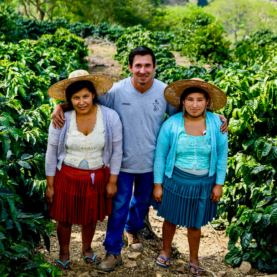 Bolivia: Trapiche, Bourbon, Mosto Washed