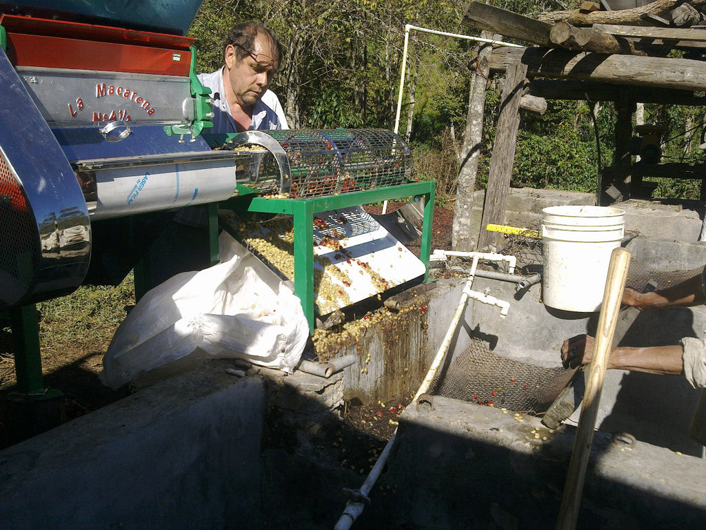 La Alondra, Francisco Morazán, Honduras