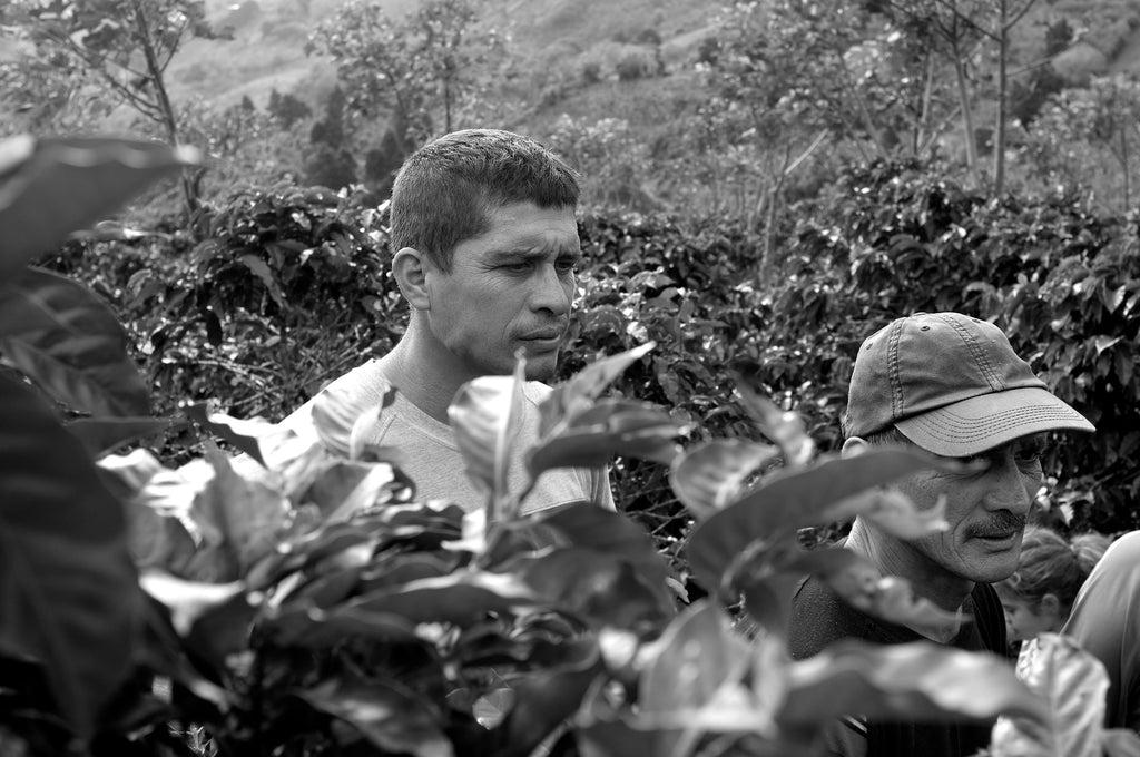 One of the Aguilera Brothers in Alajuela, Costa Rica