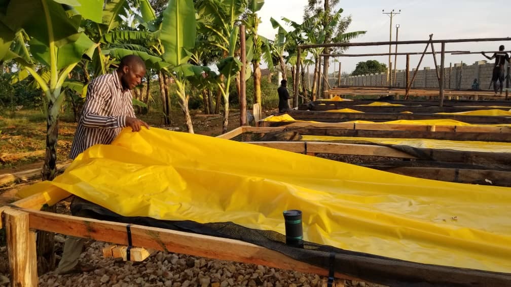 Coffee drying on raised beds at Bulambuli Washing Station | Hasbean.co.uk