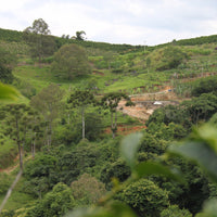 A view of the hills surrounding Fazenda Inglaterra in Brazil