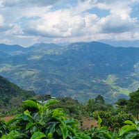 The view from Agua Azul, San Antonio de Chingama, Cajamarca, Peru | ozonecoffee.mom