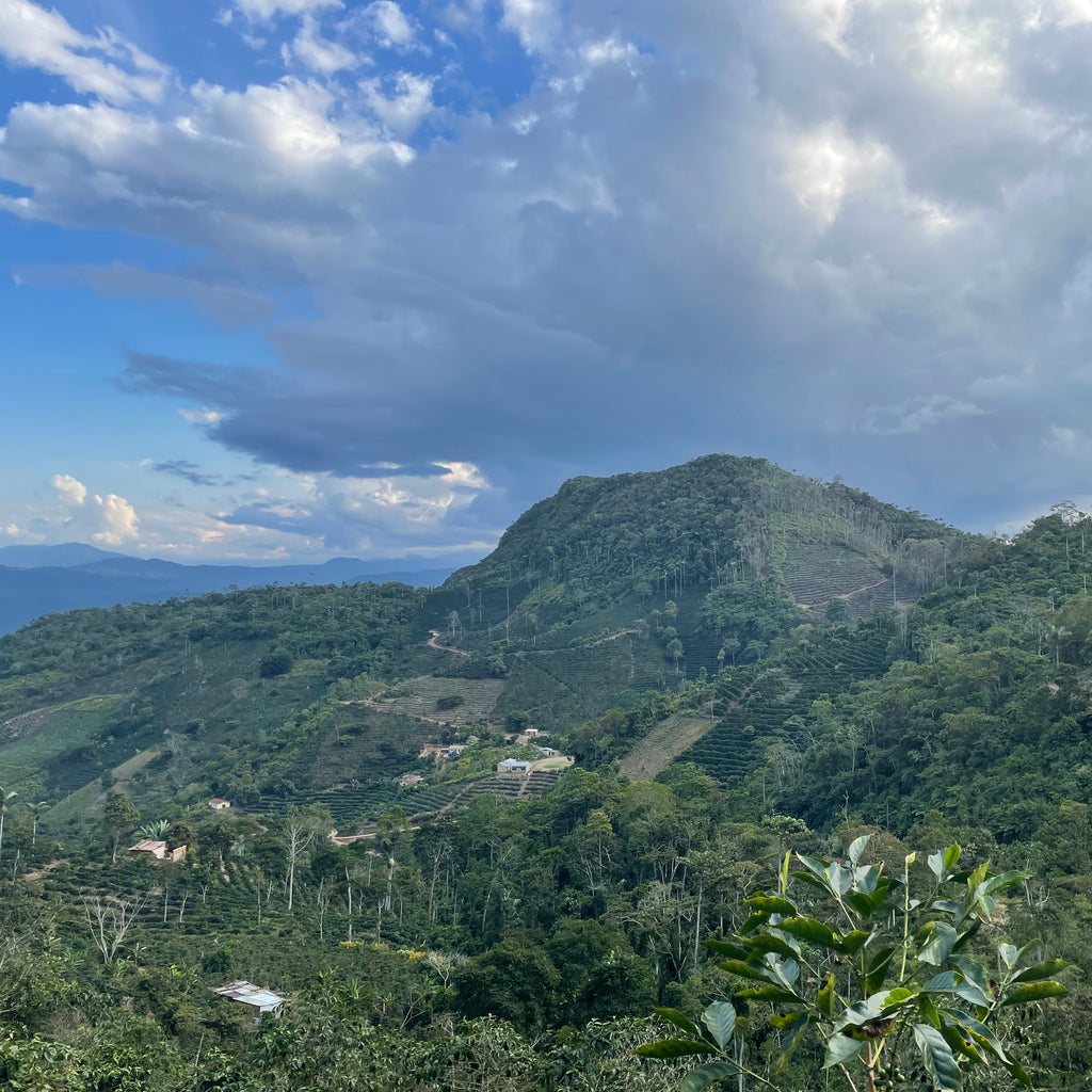 Martin Chirino. Copacabana, Caranavi, Yungas, Bolivia | Hasbean.co.uk